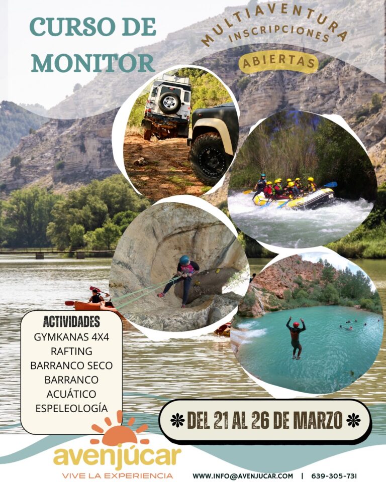 Curso Monitor 2025